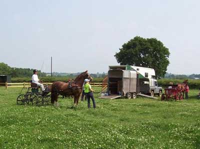 Longwood Farm